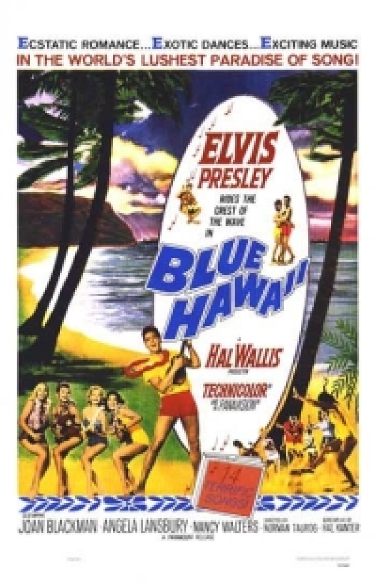 צפייה ישירה הוואי הכחולה | Blue Hawaii