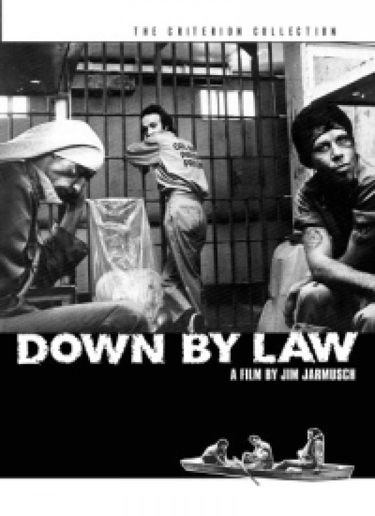 נרדפי החוק לצפייה ישירה | Down By Law