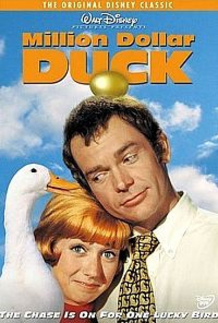 הברווז השווה מיליון תרגום מובנה לצפייה ישירה