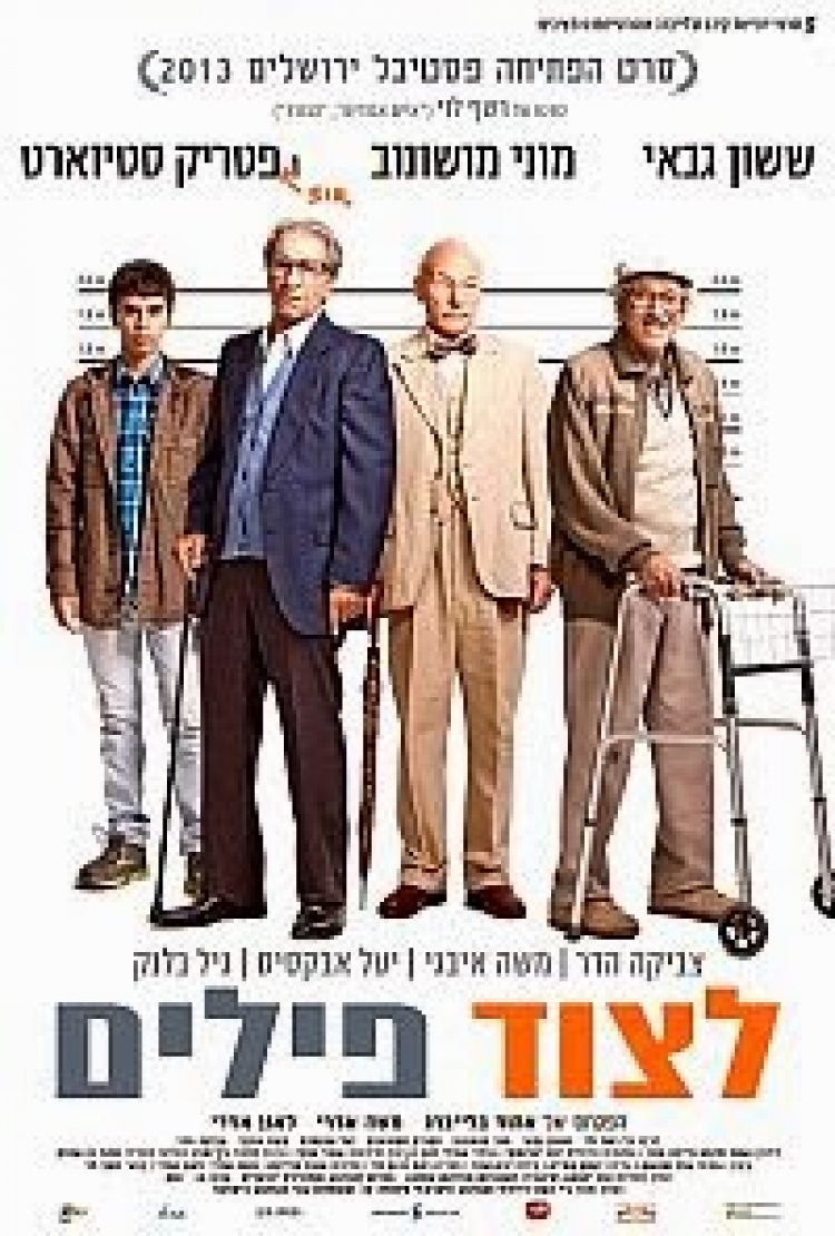 לצוד פילים