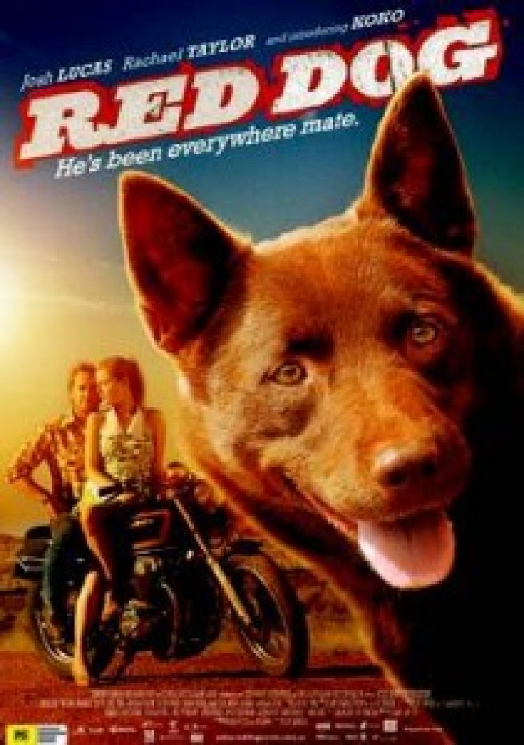 כלב ג'ינג'י תרגום מובנה לצפייה ישירה | Red Dog