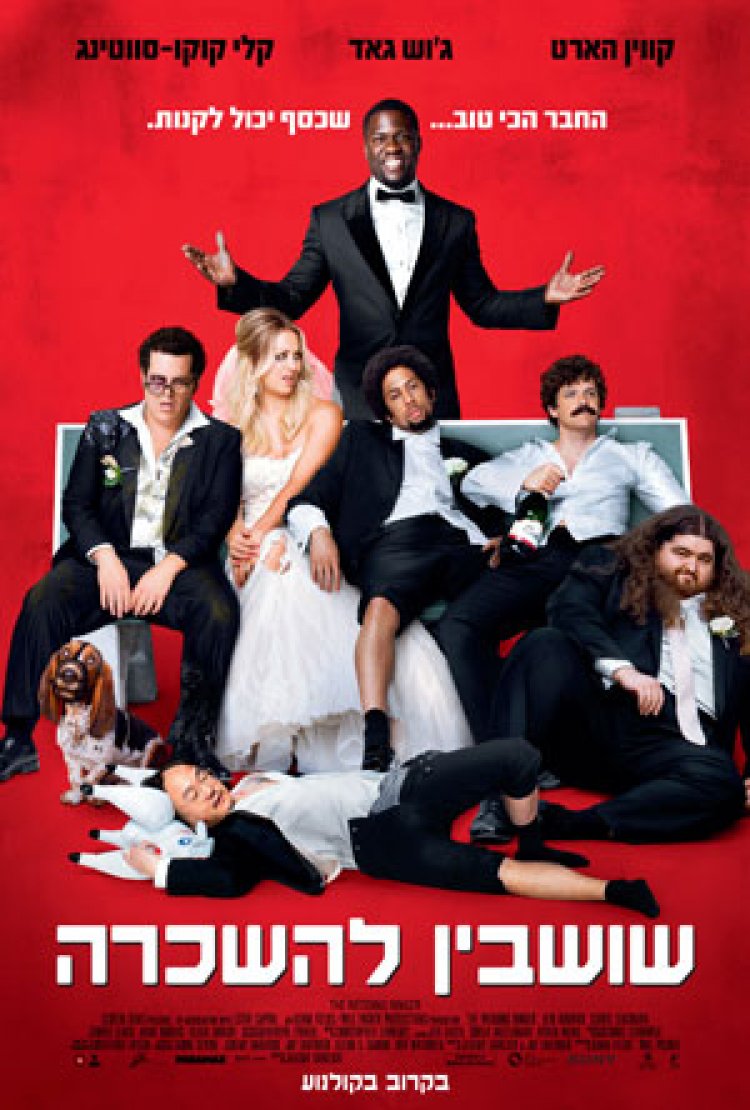 שושבין להשכרה (2015) תרגום מובנה – The Wedding Ringer