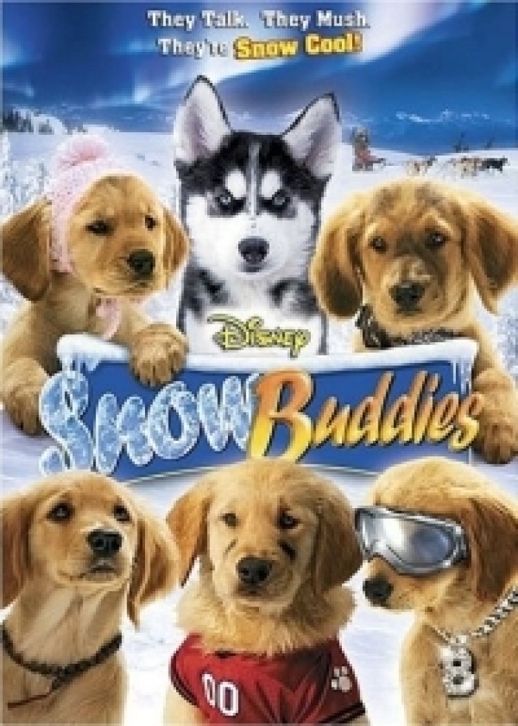 חברים בשלג תרגום מובנה לצפייה ישירה | Snow Buddies