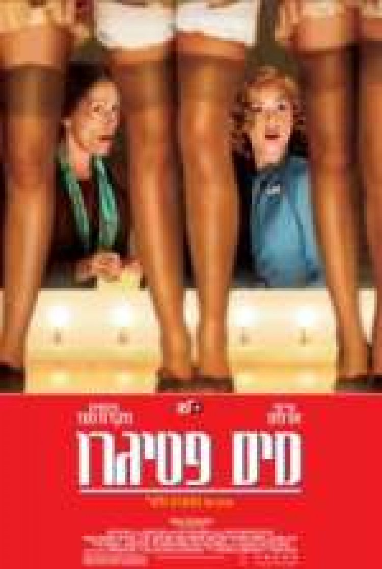 מיס פטיגרו תרגום מובנה לצפייה ישירה | Miss Pettigrew Lives For A Day