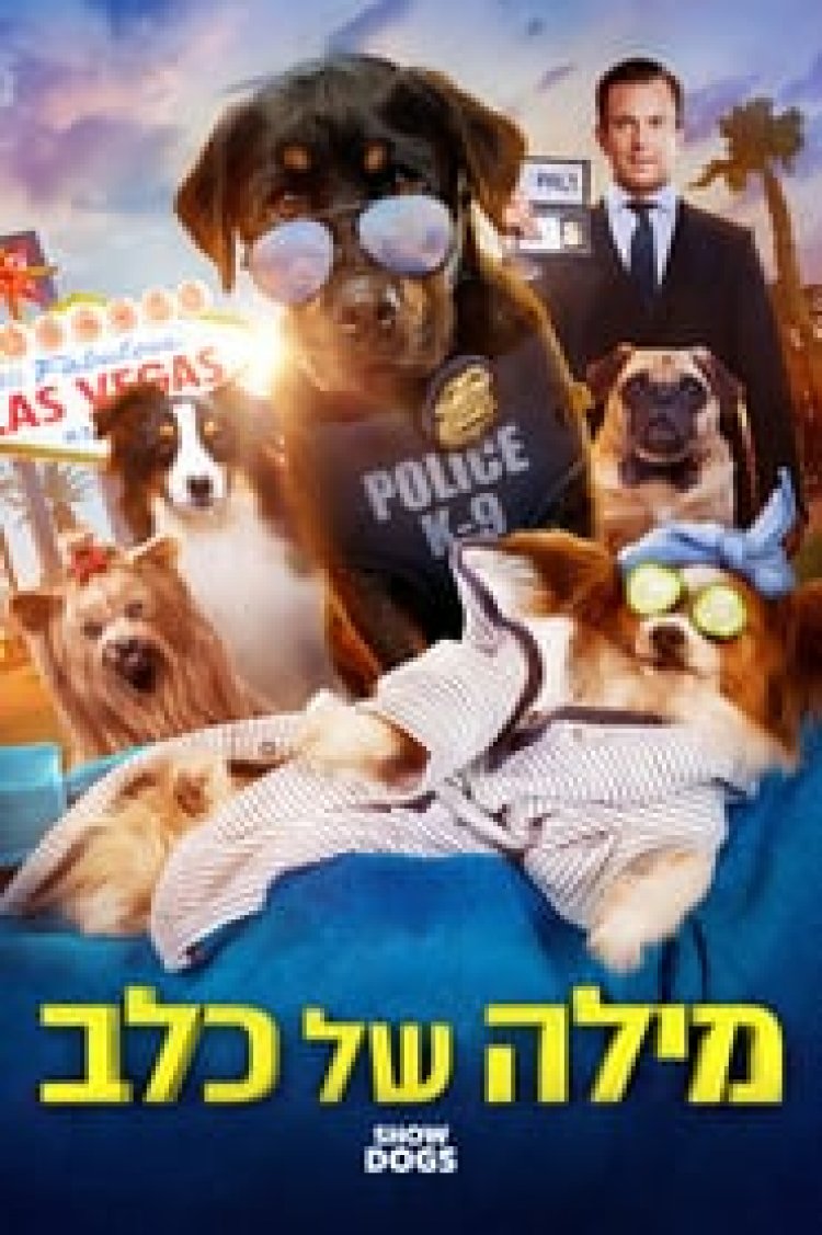מילה של כלב לצפייה ישירה עם תרגום מובנה | Show Dogs