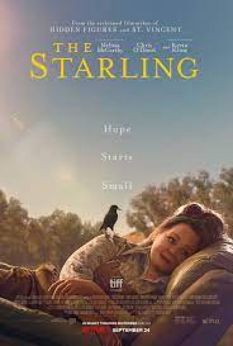 הזרזיר לצפייה ישירה עם תרגום מובנה | The Starling