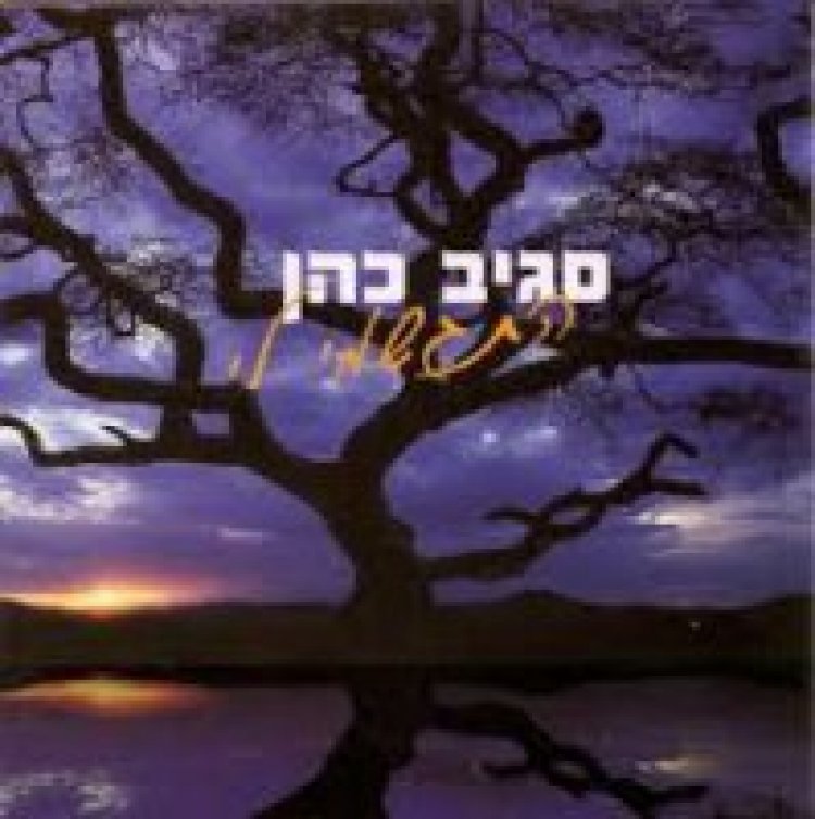 סגיב כהן – התגשמי לי אלבום להורדה