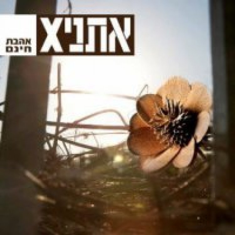 אתניקס – אהבת חינם אלבום להורדה