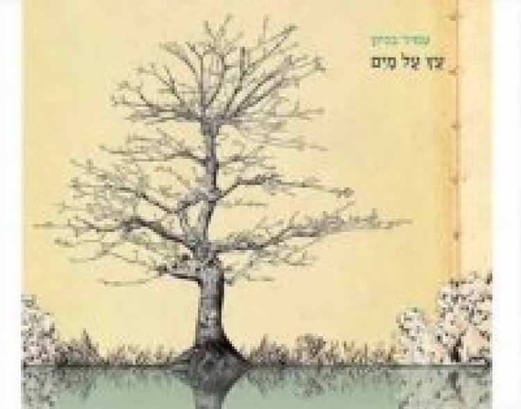 עמיר בניון – עץ על מים אלבום להורדה