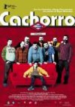 קאצ'ורו | Cachorro