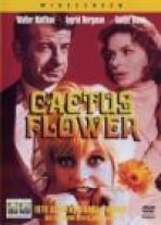 פרח הקקטוס | Cactus Flower
