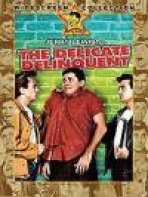 העבריין העדין | The Delicate Delinquent