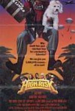 סיכון גבוה | High Risk