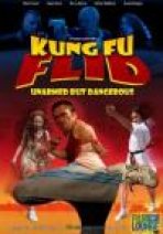 קונג פו פלייד | Kung Fu Flid