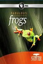 צפרדעים מופלאות כתובית | Fabulous Frogs Subtitle