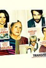 טרנספרנט כתובית | Transparent Subtitle