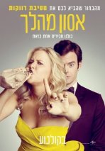 אסון מהלך כתובית | Trainwreck Subtitle