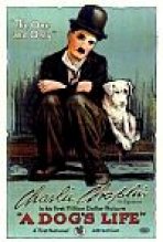 חיי כלב כתובית | A Dog's Life Subtitle