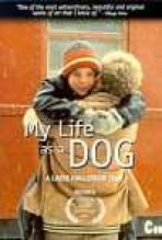 סיפורים שסיפרתי לאמא כתובית | My Life As A Dog Subtitle