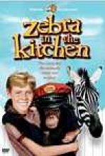 זברה במטבח כתובית | Zebra In The Kitchen Subtitle