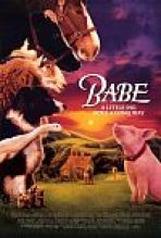 בייב כתובית | Babe Subtitle
