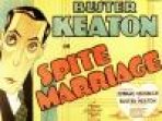 נישואים כתובית | Spite Marriage Subtitle