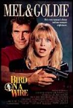 ציפור על תיל כתובית | Bird On A Wire Subtitle