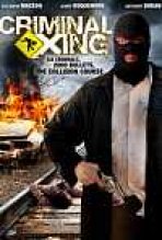 פושע אתה מחוק כתובית | Criminal Xing Subtitle