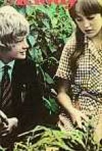 מלודי כתובית | Melody Subtitle