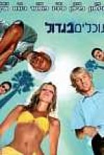נוכלים בגדול כתובית | The Big Bounce Subtitle