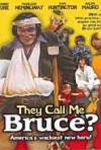 הם קוראים לי ברוס כתובית | They Call Me Bruce Subtitle