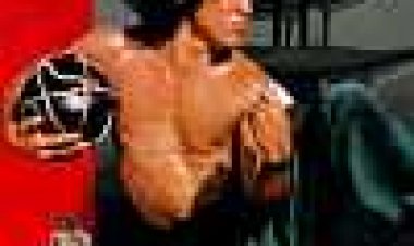 האגרופן השיכור | Drunken Master