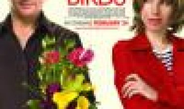 ציפורי אהבה | Love Birds