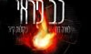 לב פראי | Wild At Heart
