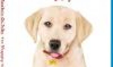 מארלי ואני: שנת הכלבלב | Marley & Me: The Puppy Years