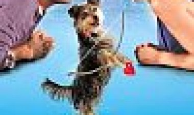 גייב כלב קופידון | Gabe The Cupid Dog