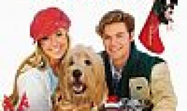 12 כלבי חג המולד | 12 Dogs Of Christmas: Great Puppy Rescue