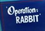 מבצע: ארנב | Operation: Rabbit