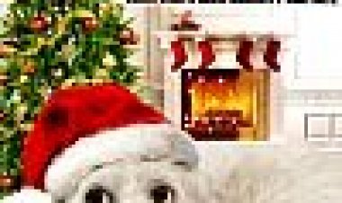 12 משאלות חג המולד עבור כלבי כתובית | 12 Christmas Wishes For My Dog Subtitle