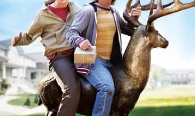 טיפשים בלי הפסקה 2 כתובית | Dumb And Dumber To Subtitle