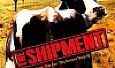 המשלוח כתובית | The Shipment Subtitle