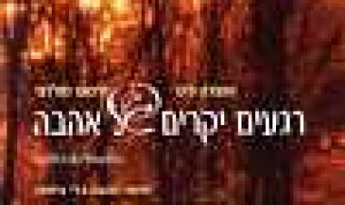 רגעים יקרים של אהבה כתובית | Griffin And Phoenix Subtitle