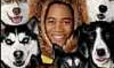 כלבי שלג כתובית | Snow Dogs Subtitle