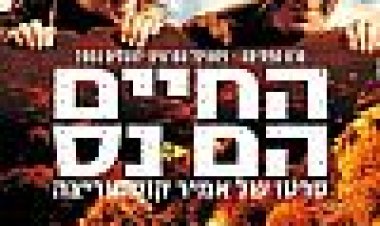 החיים הם נס כתובית | Life Is A Miracle Subtitle