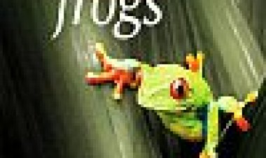 צפרדעים מופלאות כתובית | Fabulous Frogs Subtitle