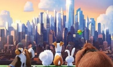 החיים הסודיים של חיות המחמד כתובית | The Secret Life Of Pets Subtitle