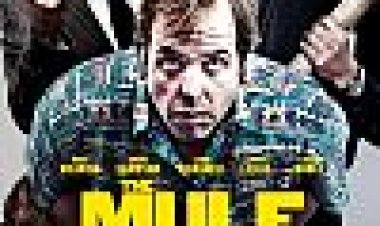 הבלדר כתובית | The Mule Subtitle