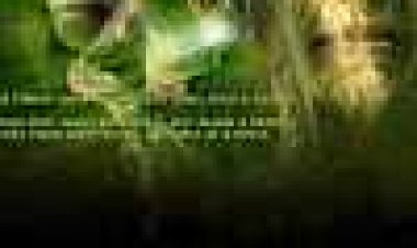 ראש דלעת: מאפר באת אל אפר תלך כתובית | Pumpkinhead: Ashes To Ashes Subtitle