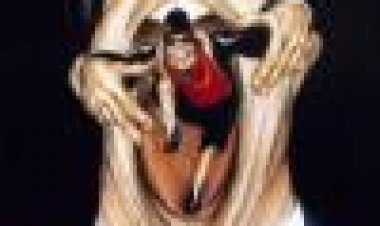 בולוורת' | Bulworth