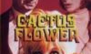 פרח הקקטוס | Cactus Flower